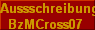  Aussschreibung
BzMCross07 
